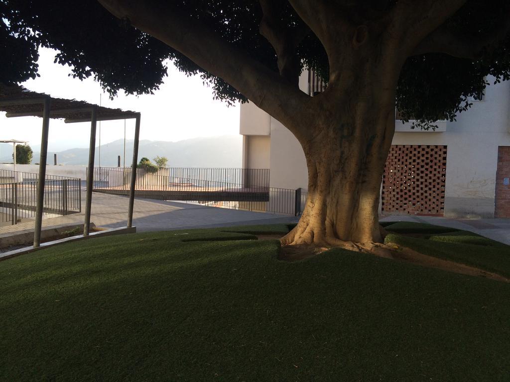 דירות אלורה Atico Guadalhorce - Mirador Privado Con Barbacoa Y Solarium מראה חיצוני תמונה